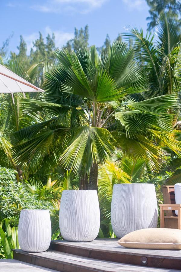 Villa Motu Nao Nao Private Island Opoa Exterior foto